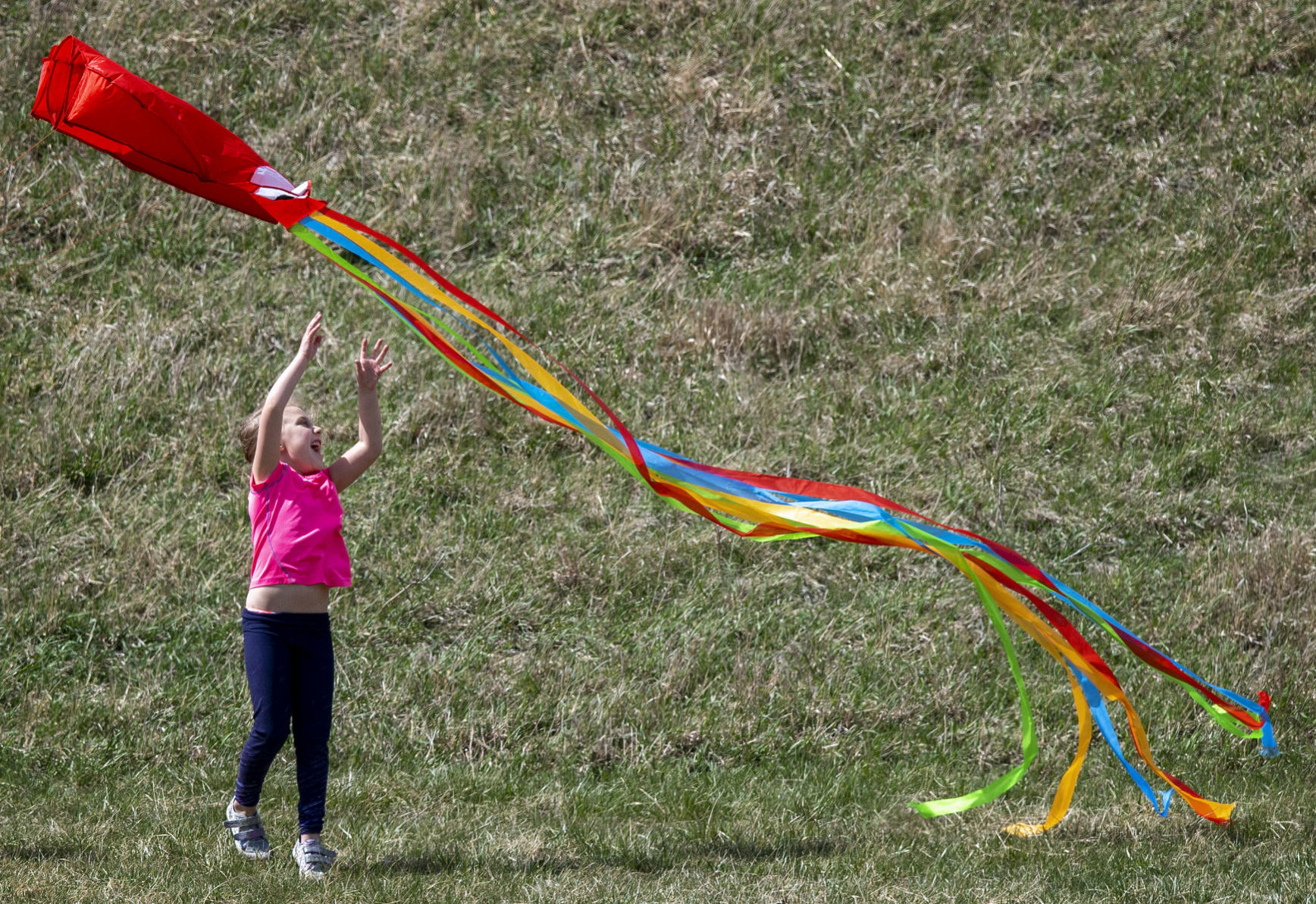 Windy day